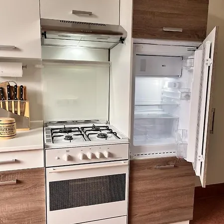 Apartment Am Schloss-park Biebrich Am Rhein *