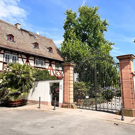 Apartment Am Schloss-park Biebrich Am Rhein