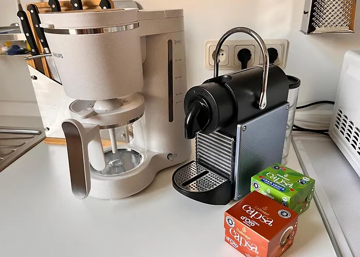 Apartment Am Schloss-park Biebrich Am Rhein Wiesbaden