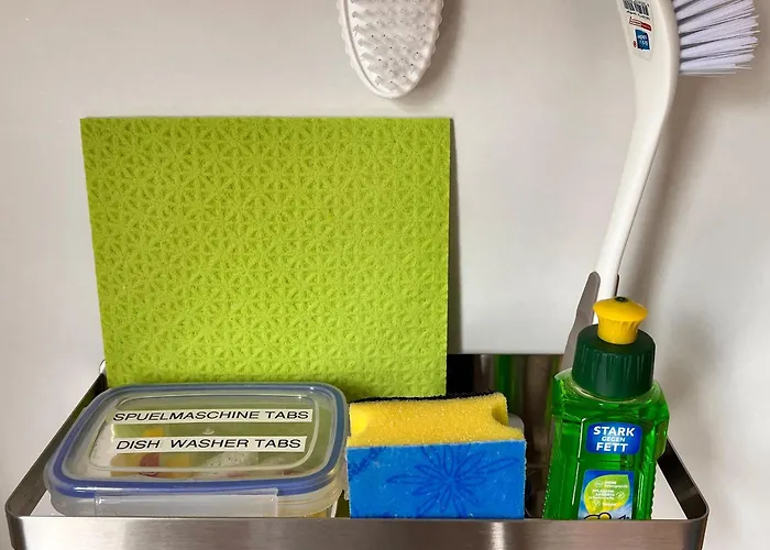 Am Schloss-park Biebrich Am Rhein * Wiesbaden