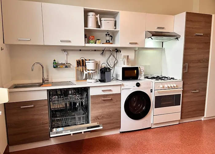 公寓 Am Schloss-park Biebrich Am Rhein 威斯巴登